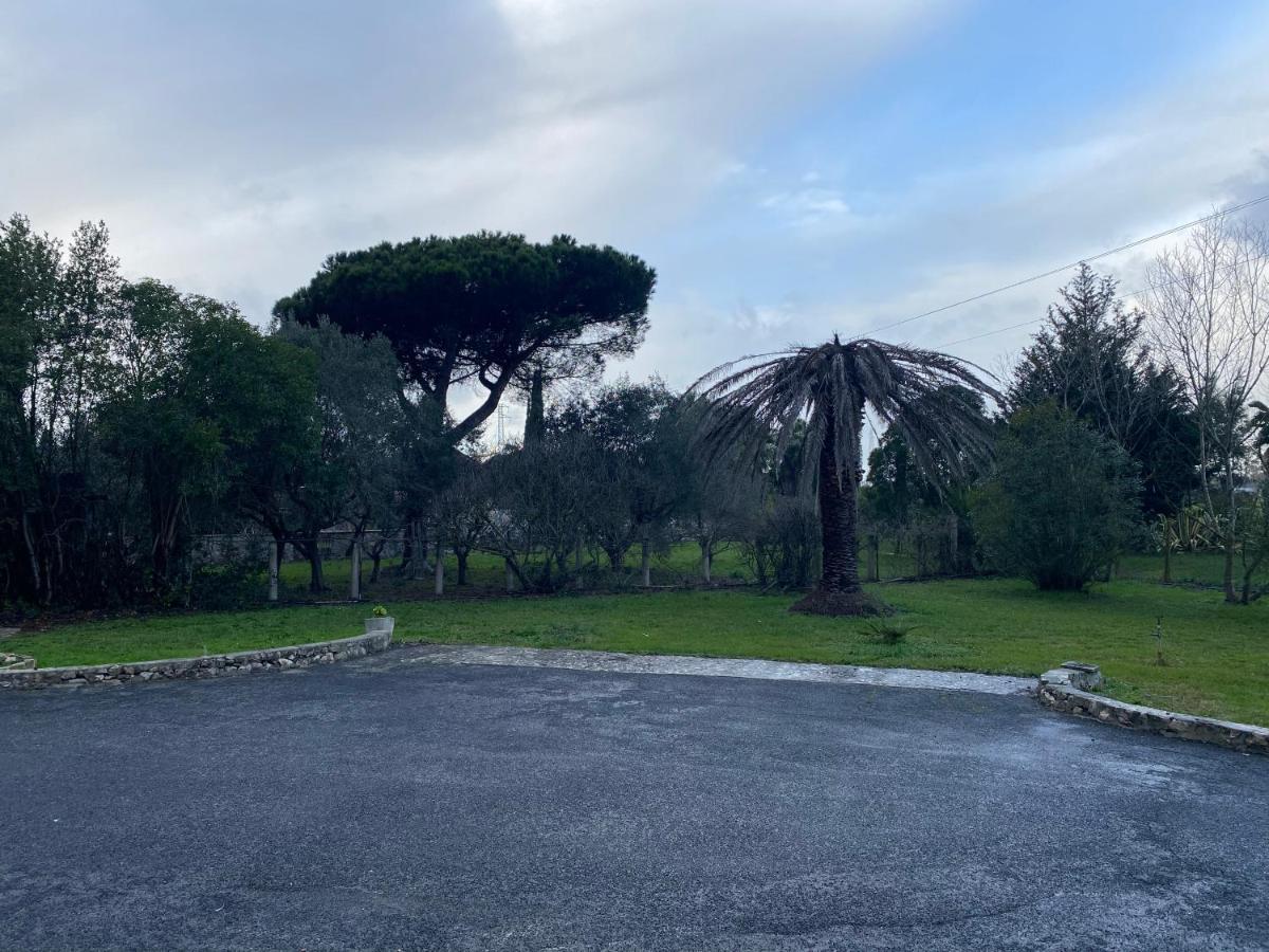 American Motel Cisterna di Latina Eksteriør bilde